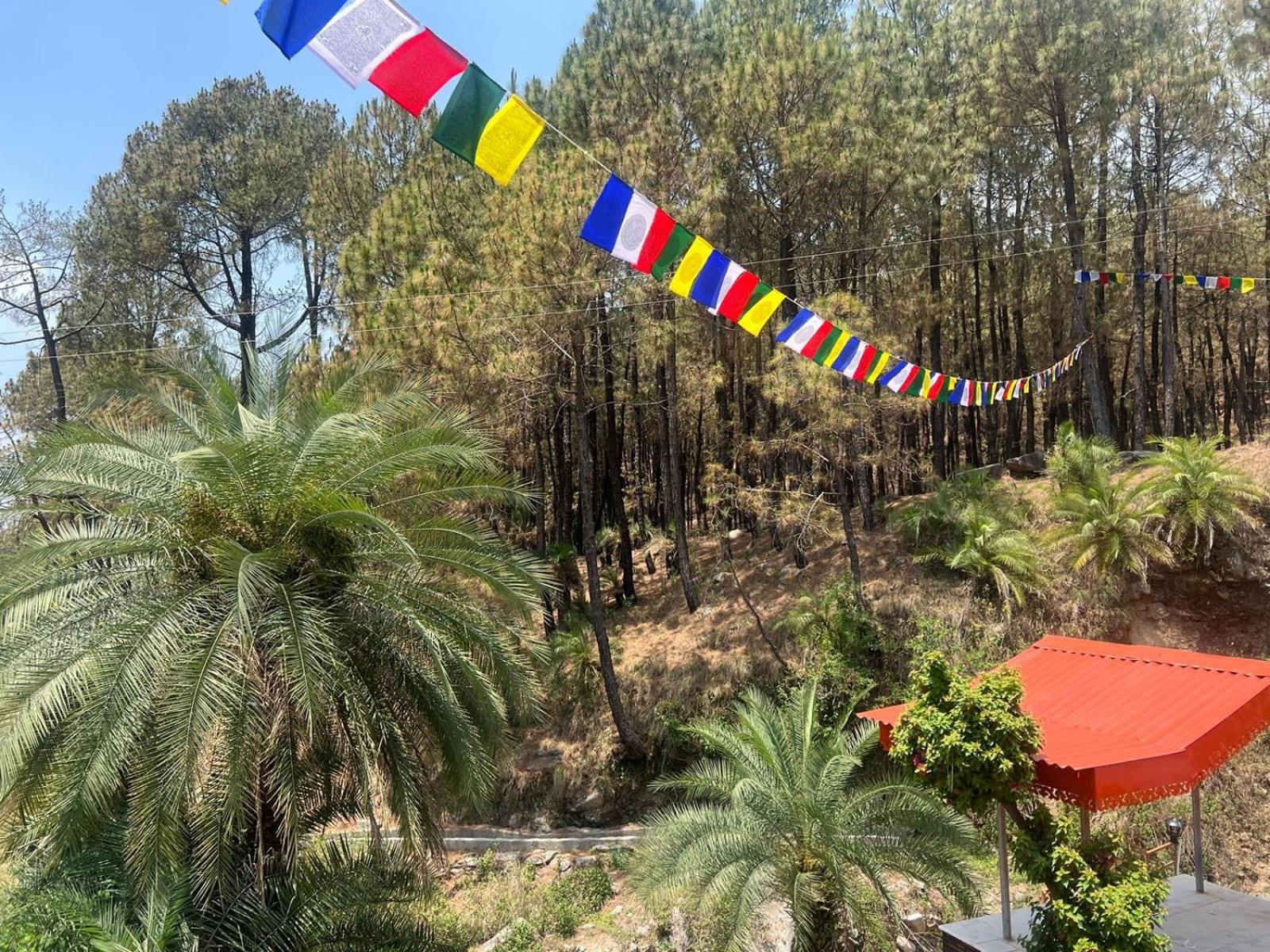 Tathastu Bir -Homestay ,Dorm,Hostel מראה חיצוני תמונה