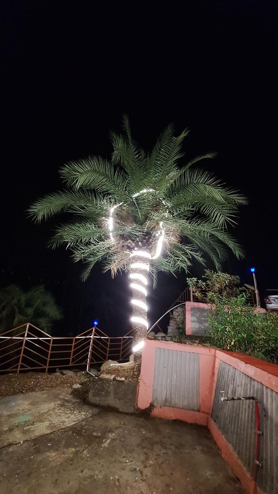 Tathastu Bir -Homestay ,Dorm,Hostel מראה חיצוני תמונה