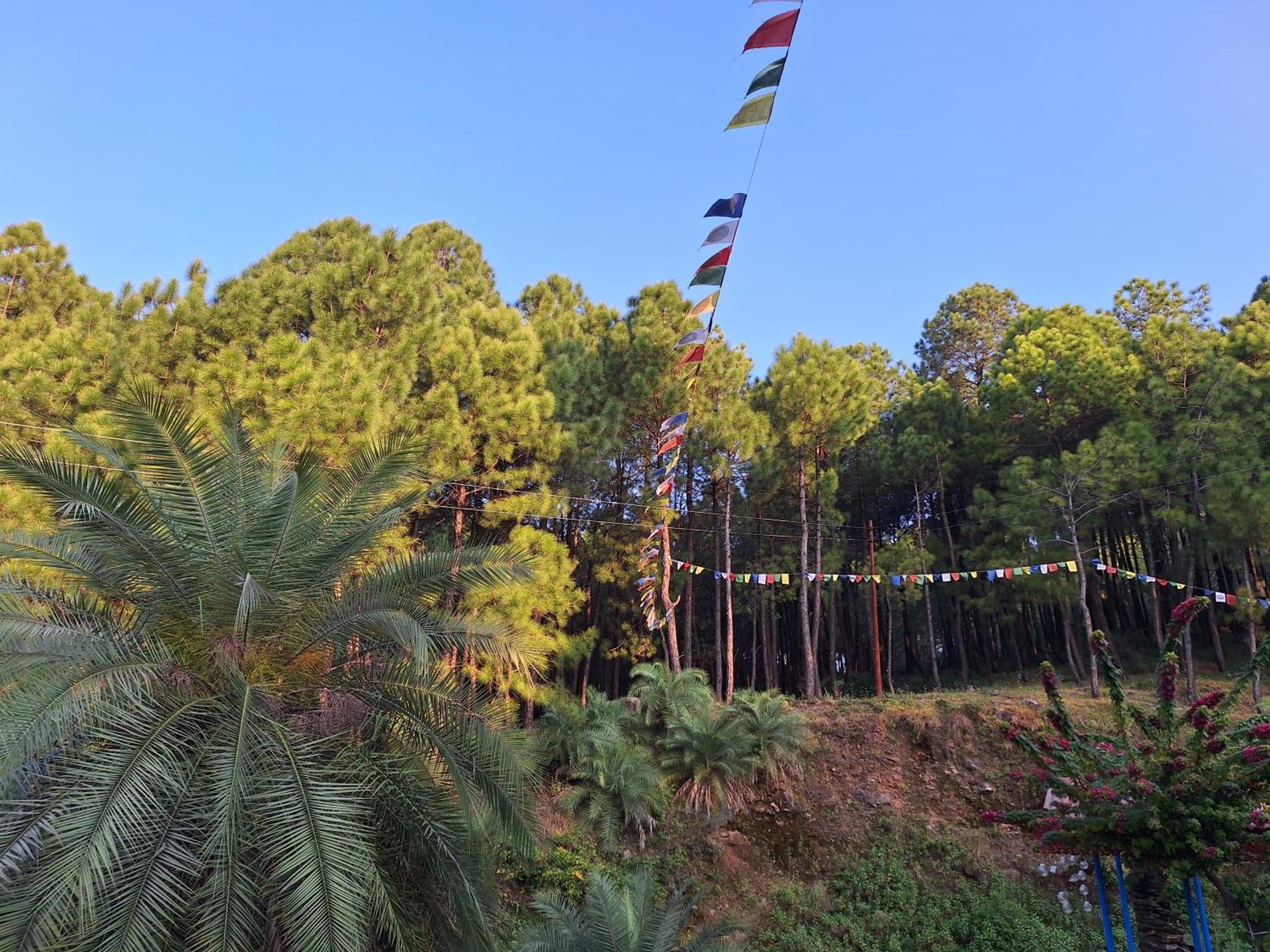 Tathastu Bir -Homestay ,Dorm,Hostel מראה חיצוני תמונה