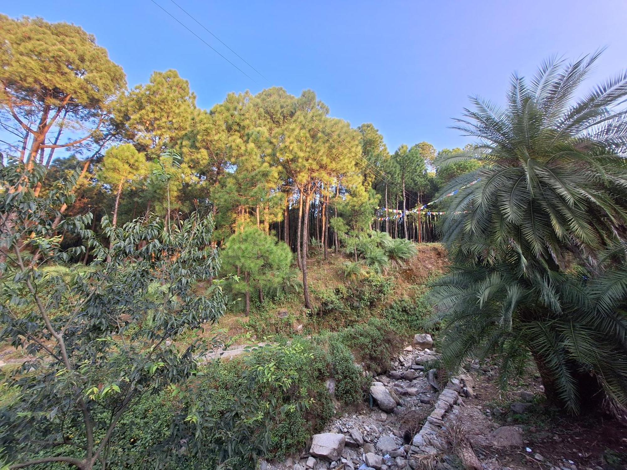 Tathastu Bir -Homestay ,Dorm,Hostel מראה חיצוני תמונה