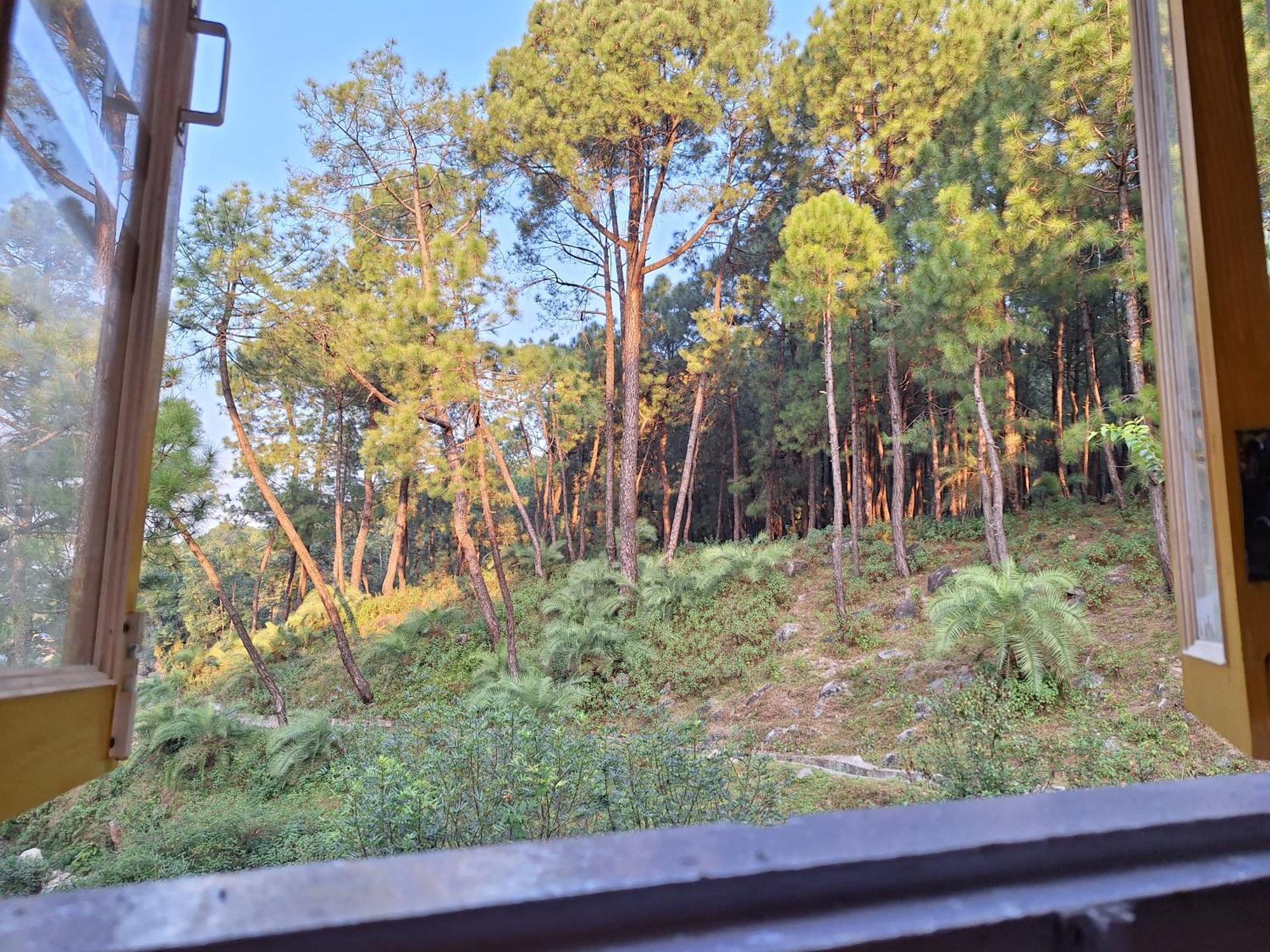 Tathastu Bir -Homestay ,Dorm,Hostel מראה חיצוני תמונה