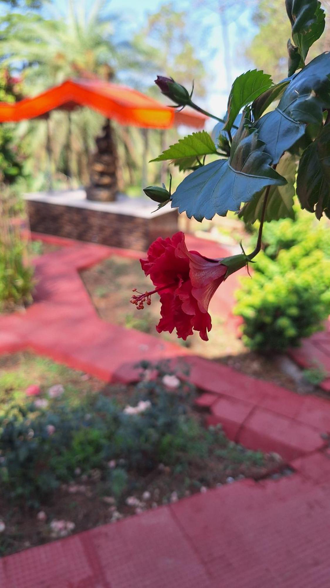 Tathastu Bir -Homestay ,Dorm,Hostel מראה חיצוני תמונה