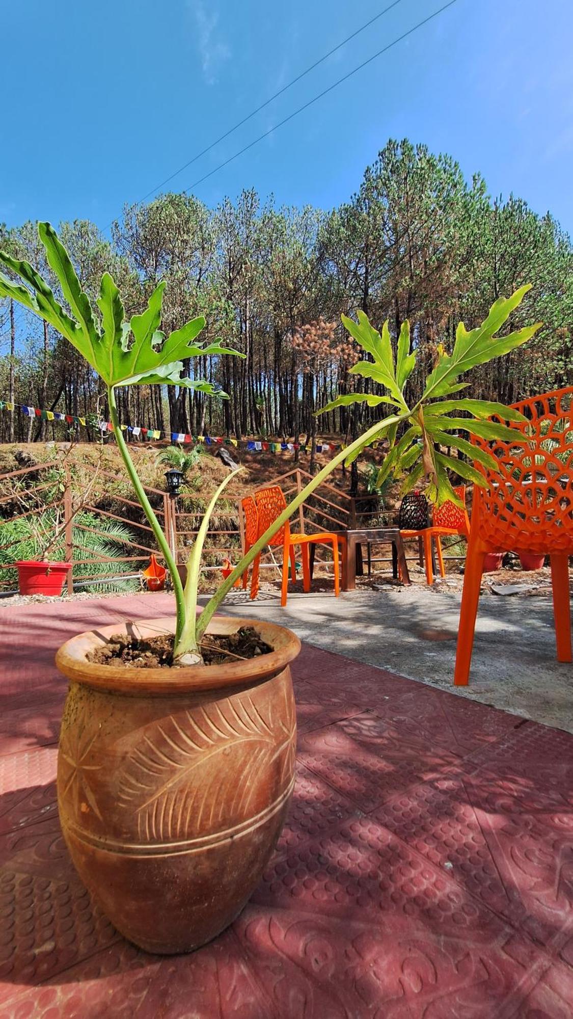 Tathastu Bir -Homestay ,Dorm,Hostel מראה חיצוני תמונה
