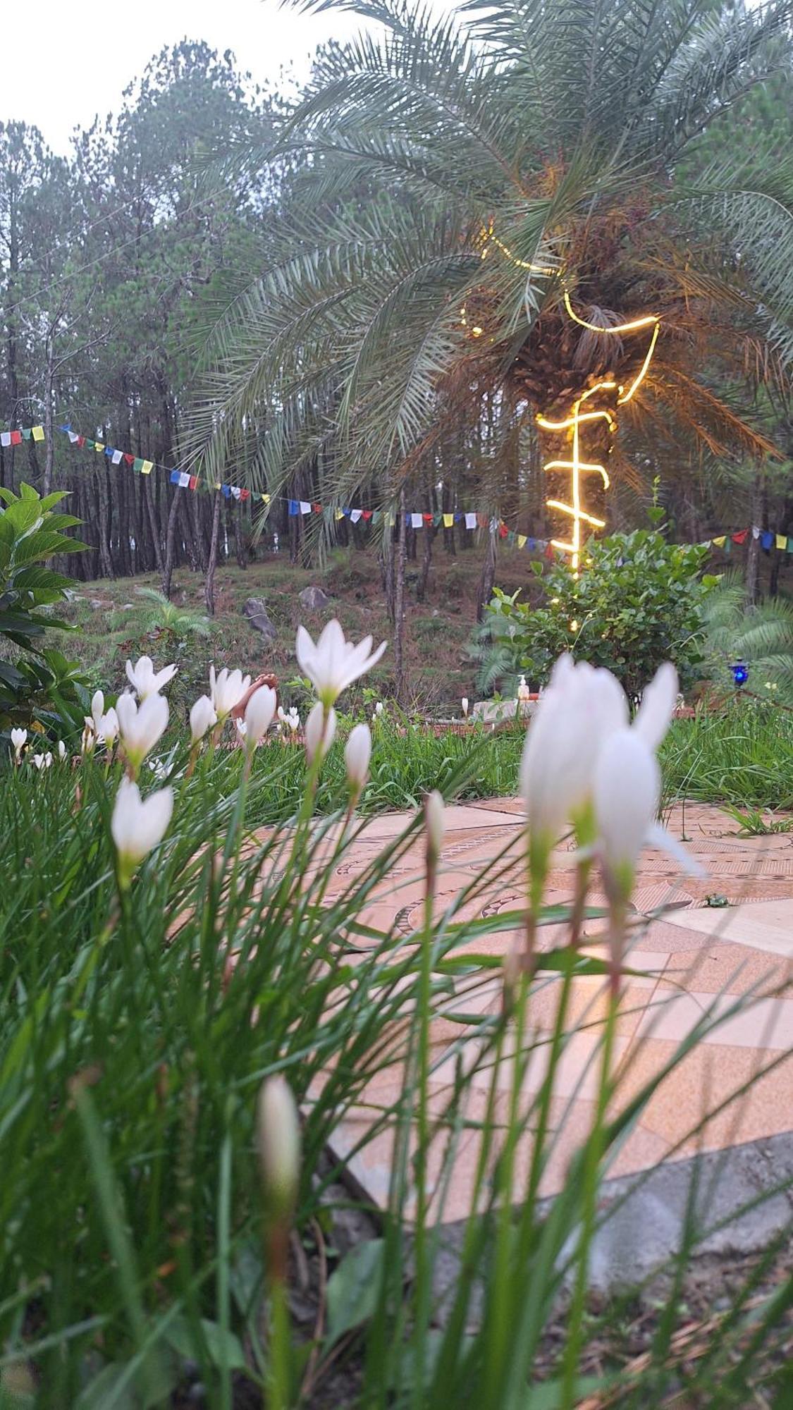 Tathastu Bir -Homestay ,Dorm,Hostel מראה חיצוני תמונה