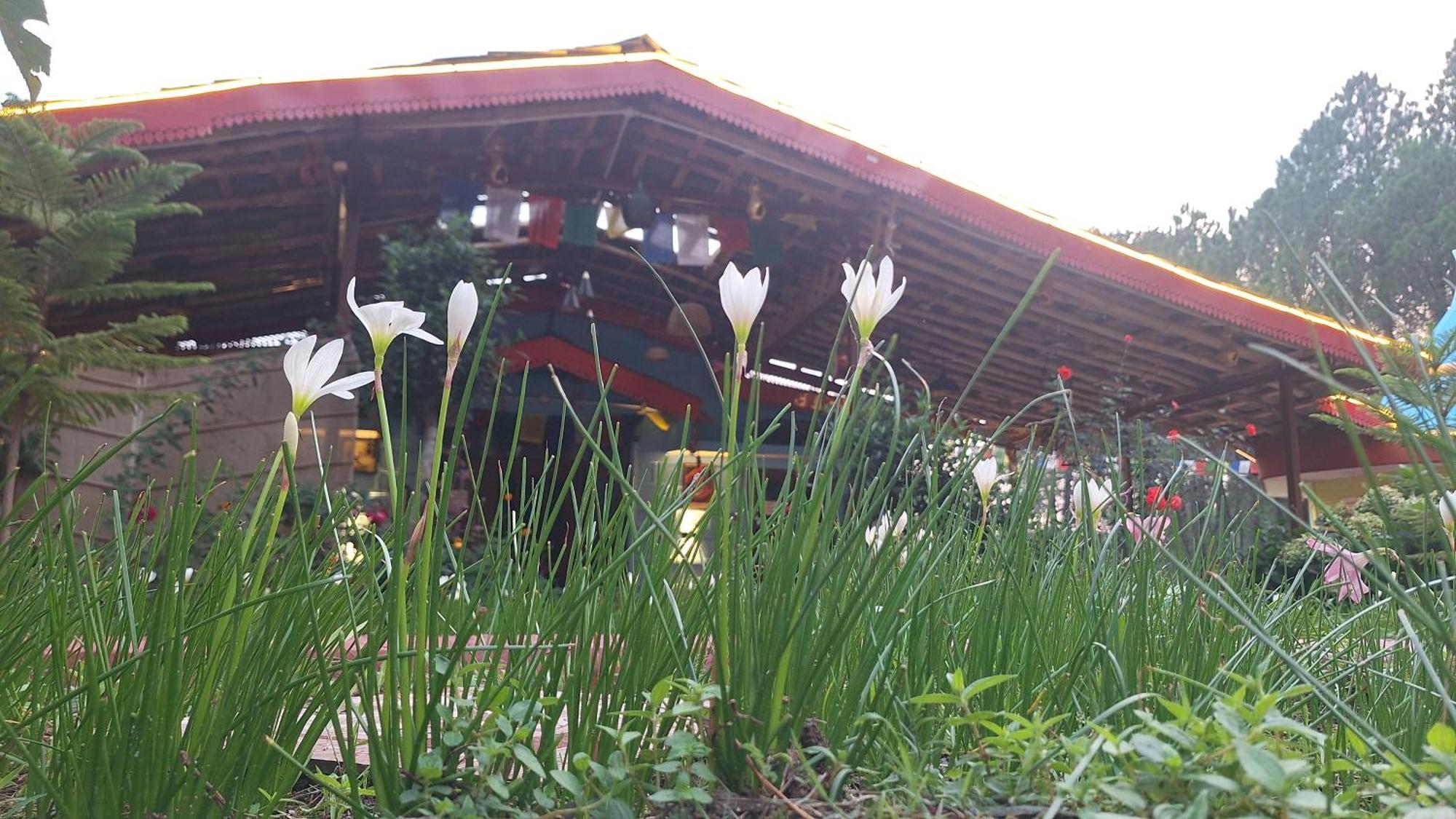 Tathastu Bir -Homestay ,Dorm,Hostel מראה חיצוני תמונה