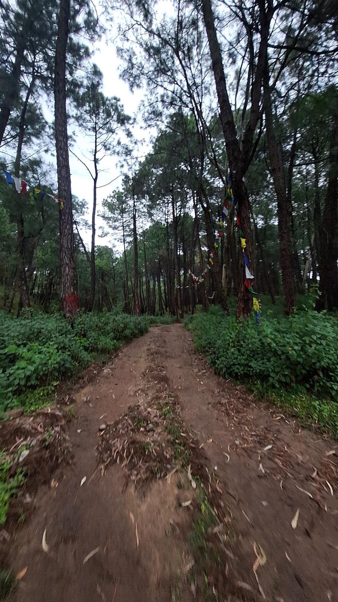 Tathastu Bir -Homestay ,Dorm,Hostel מראה חיצוני תמונה
